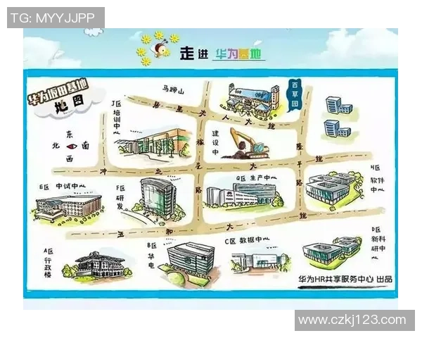 深圳排球队实力分析与未来发展潜力的深度探讨